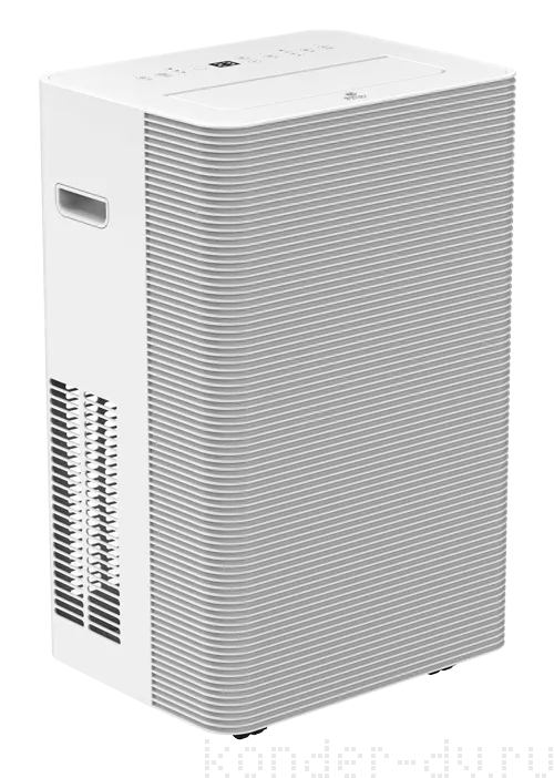 ��������� ����������� ROYAL Clima ����� CARO