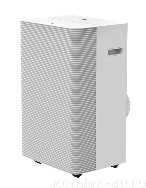 ��������� ����������� ROYAL Clima ����� CARO