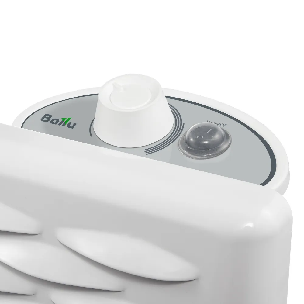 ��������� ������������� BALLU ����� ETTORE ������������ ����������