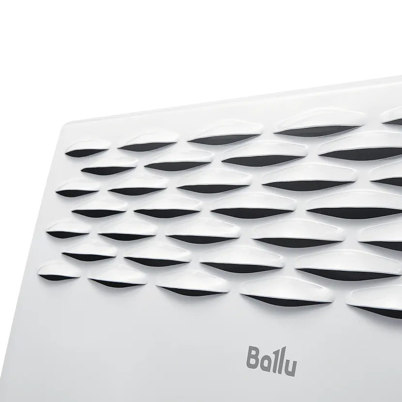 ��������� ������������� BALLU ����� ETTORE ������������ ����������